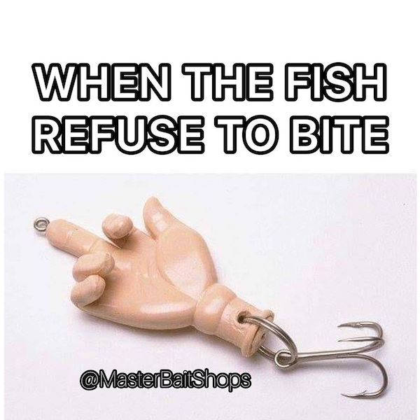 24 Fishing Memes Are A Big One.