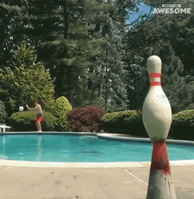 29 GIFs Of Some Sick Bowling Action - Barnorama