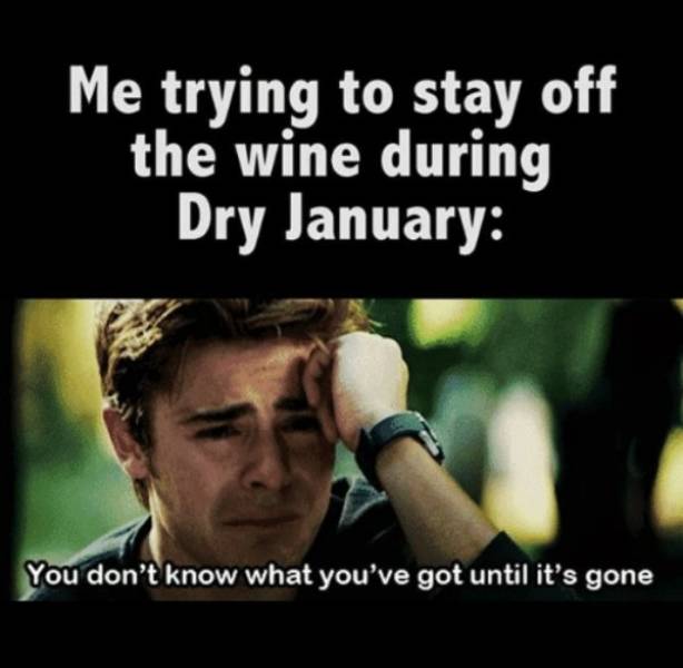 30 Good Luck Memes For Dry January - Barnorama