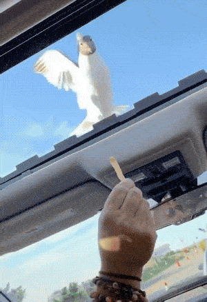 14 Hilarious Fail GIFs That Will Make You Laugh Out Loud - Barnorama