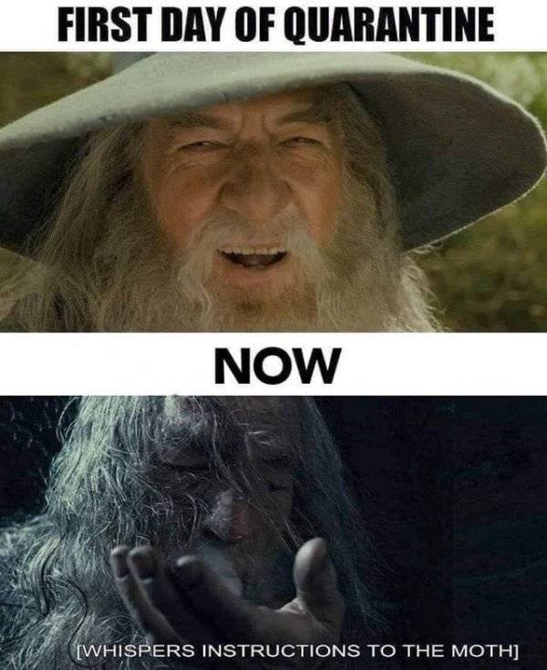 30 Hilarious "Lord Of The Rings" Memes - Barnorama