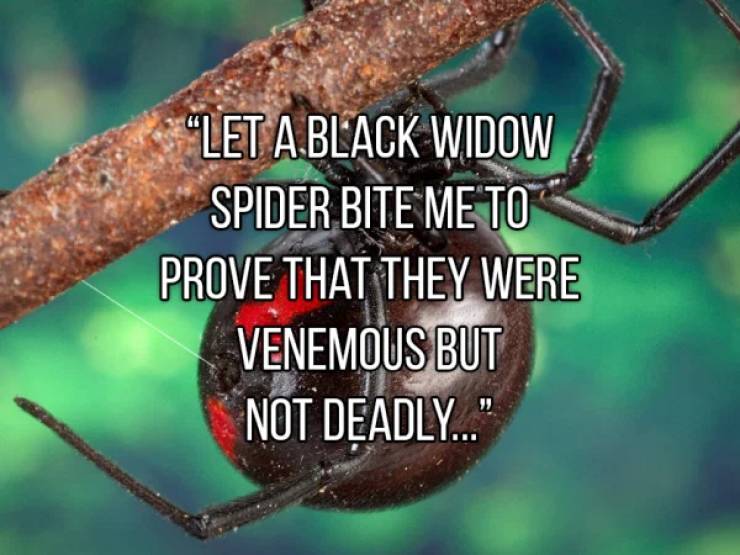 Just Weird People Do Some Weird Stuff – Barnorama