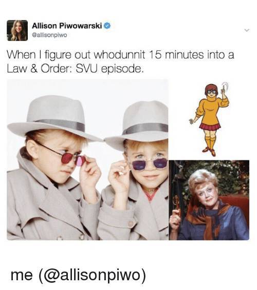 Essay on law and order svu