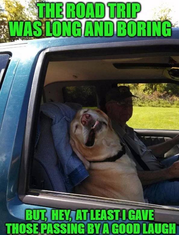 29 Funny Road Trip Memes - Barnorama