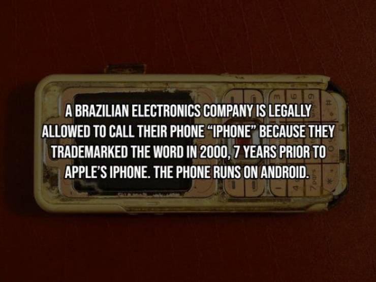 20 Extremely Random Facts – Barnorama
