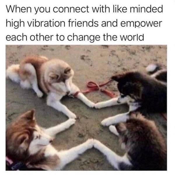 30+ Hilarious Teamwork Memes – Barnorama