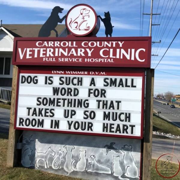 30 Funny Signs Posted By The Carroll County Veterinary Clinic – Barnorama