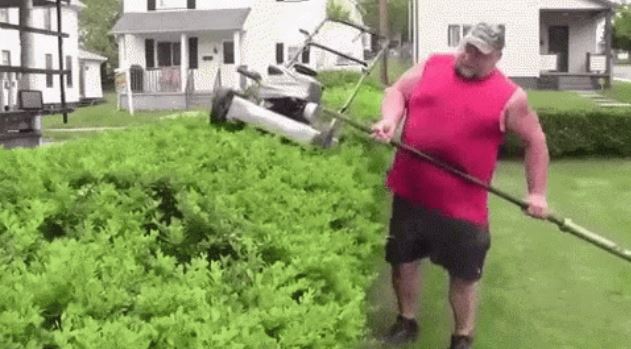 42 Hilarious Wins VS. Fails GIFs – Barnorama