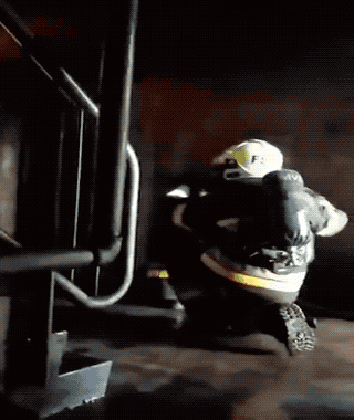 dive_into_the_world_of_awesome_gifs_09.gif