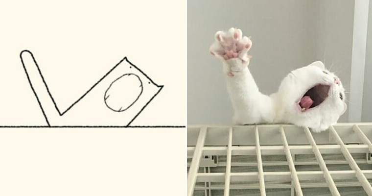 21 Cat Portraits So Accurate, They'll Purr-sistently Amaze You – Barnorama