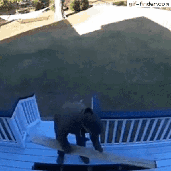 42 Epic Fail GIFs That Will Make You Laugh Out Loud Barnorama