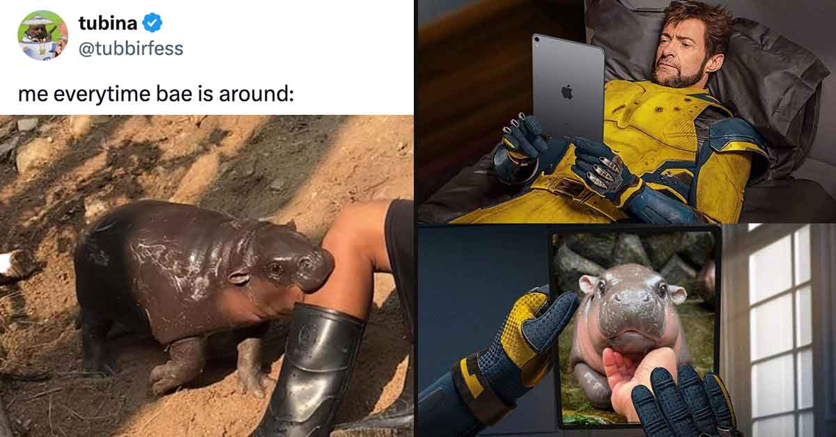 24 Hilarious Moo Deng Memes and Tweets We Can’t Get Enough Of – Barnorama