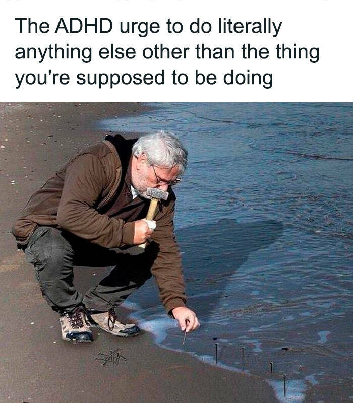 50 ADHD Memes That Totally Get Your Distracted Moments – Barnorama