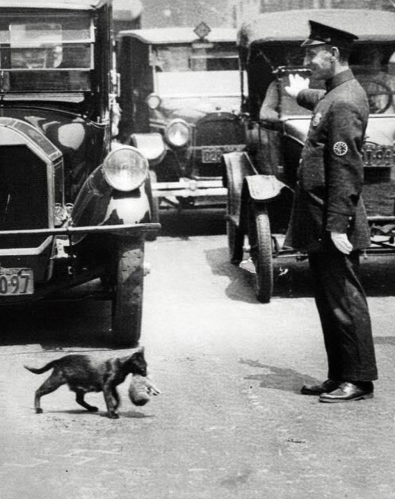 25 Vintage Photos That Take You Straight to 1925! – Barnorama