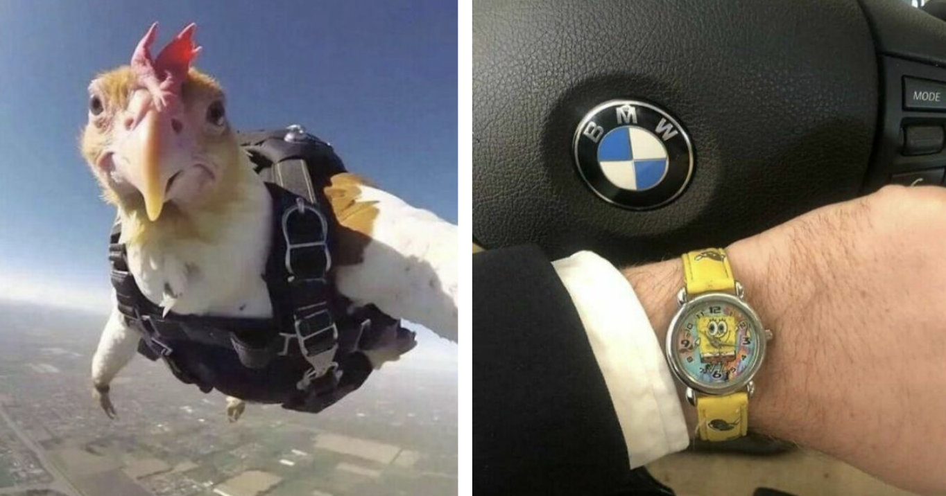 28 Hilariously Odd And Confusing Moments – Barnorama