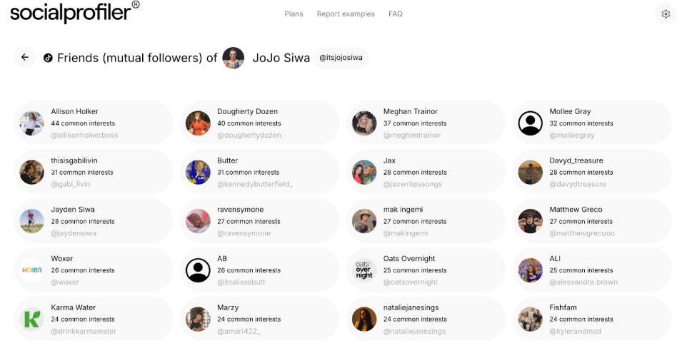 Socialprofiler revealing JoJo Siwa’s mutual friends on TikTok, ranked by the number of mutual interests