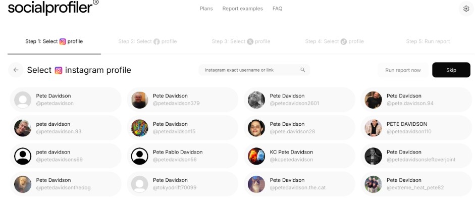 A screenshot showing Socialprofiler evaluating social media profiles for the search term "Pete Davidson"