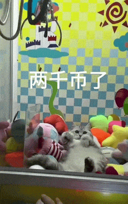 25 Daily GIFs Running On Zero Sleep And Pure Unhinged Energy – Barnorama