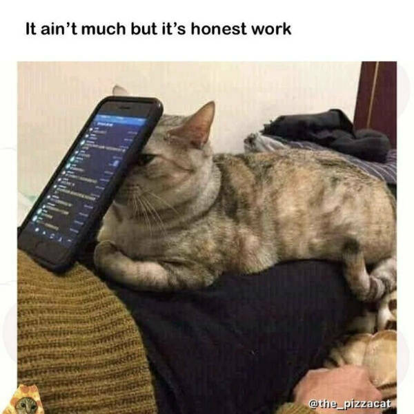 16 Memes So Unrelated They Somehow Make Sense – Barnorama