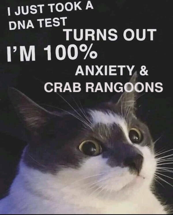 16 Memes So Unrelated They Somehow Make Sense – Barnorama