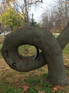 70 Hilarious Random Pictures That Make Everyday Life Look Way Funnier ...