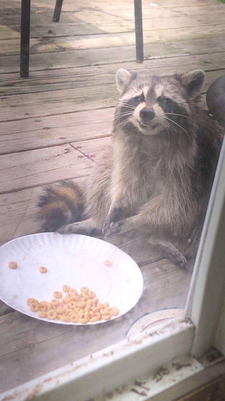 Random Looking Pic 70 Hilarious Random Pictures That Make Everyday Life Look Way Funnier ...
