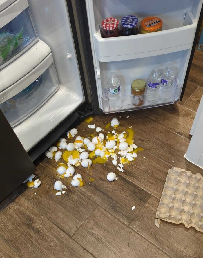 16 Kitchen Disasters So Bad They Deserve Their Own Cooking Show – Barnorama