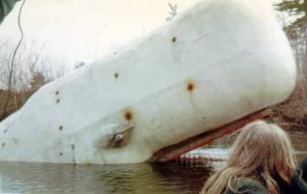 Abandoned Moby Dick animatronic at Pleasure Island