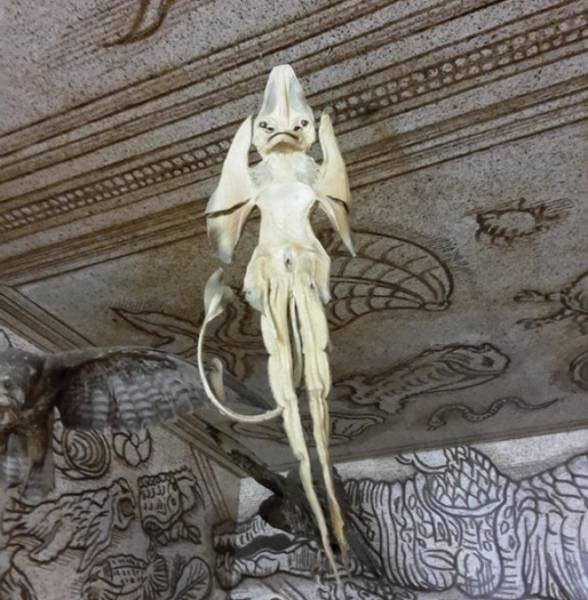 A strange demon-like dried figure