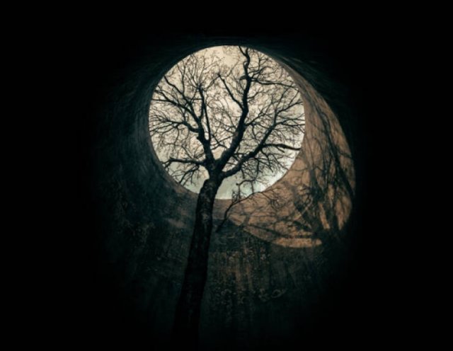 Abandoned grain silo with a tree growing through it