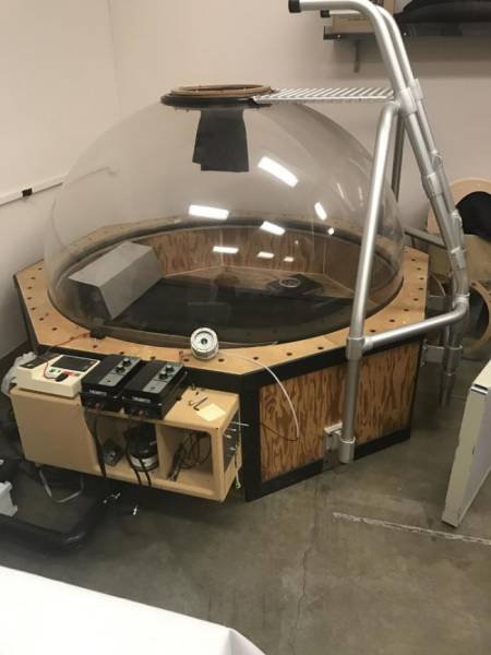 An unusual exercise device