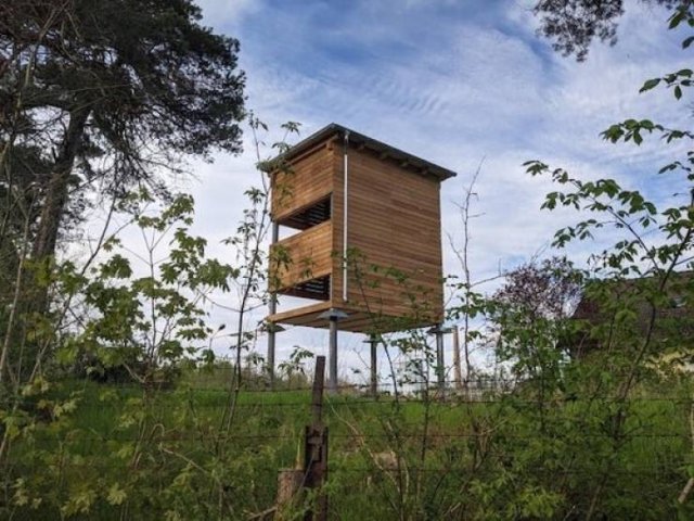 Two tall narrow structures on stilts