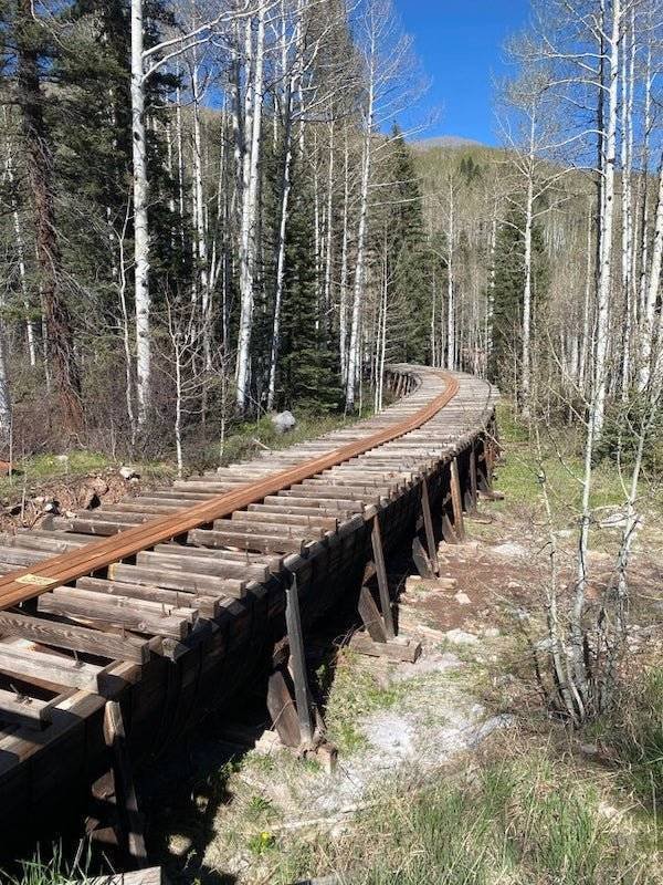 A timber-covered water channel in the mountains
