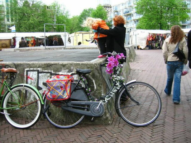 The Netherlands culture shock