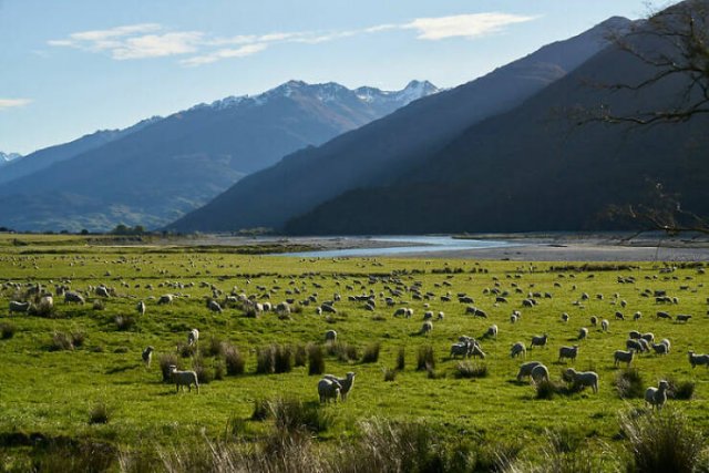 New Zealand culture shock