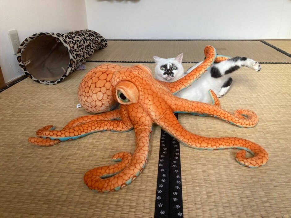 90 Funny And Interesting Daily Pictures – Barnorama